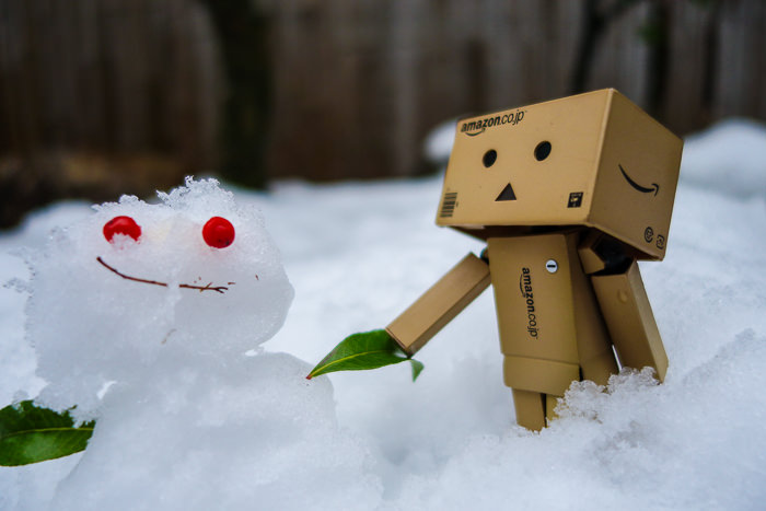 Everyone loves Danbo