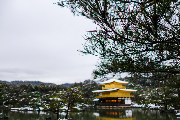 Snow-capped Golden Pavilion