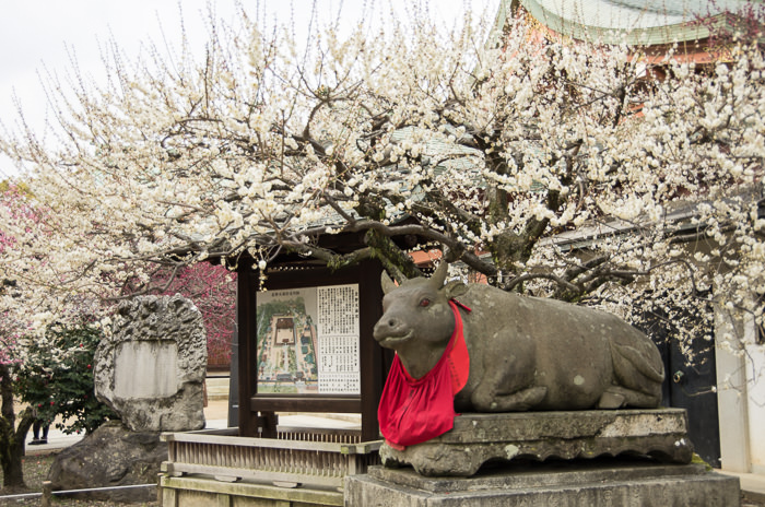 A statue of cow and plum blossoms