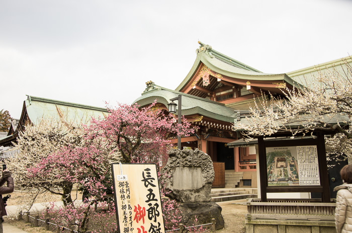 Kitano tenmangu shrine
