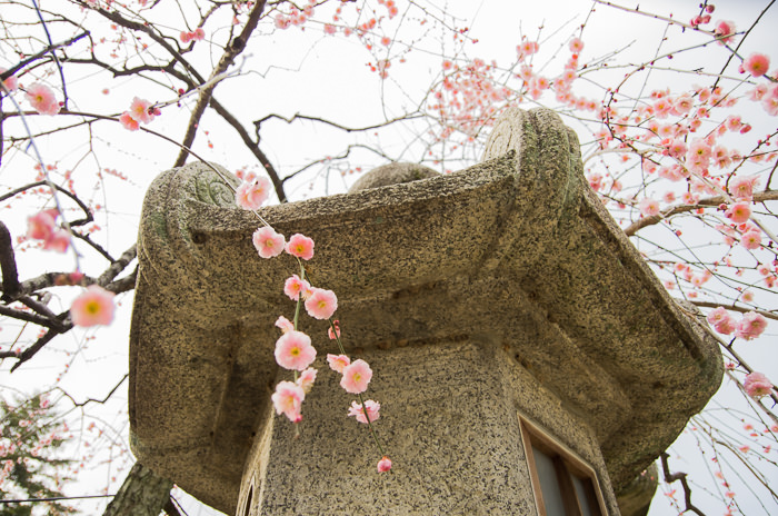 Stone lantern